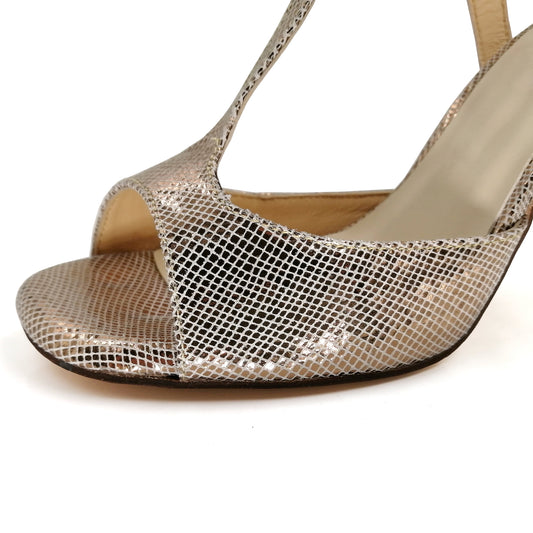 Pro Dancer Women's Tango Shoes in Rose Gold with High Heel and Leather Sole for Argentina Dance (PD-9012A)0